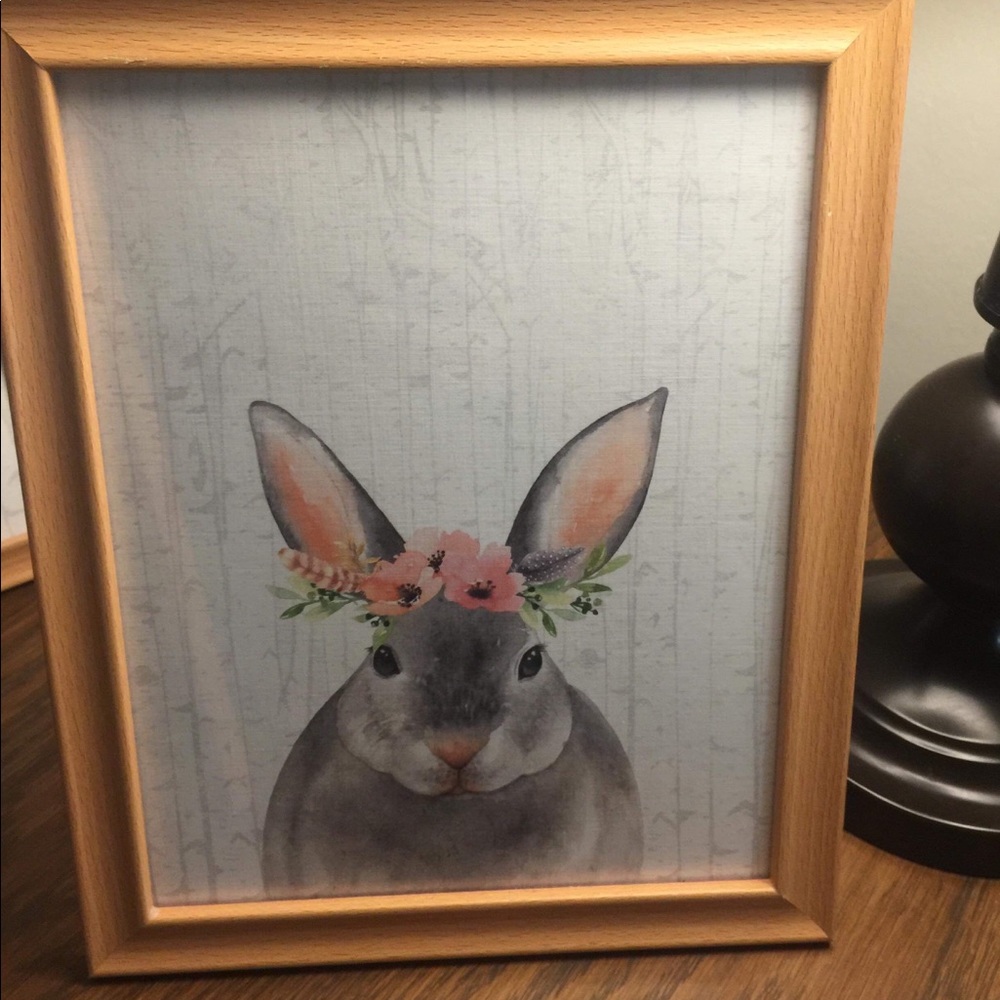 Animal pictures